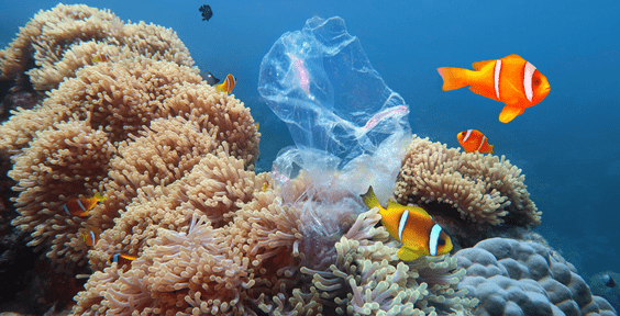 SDG - Sustainable packaging
