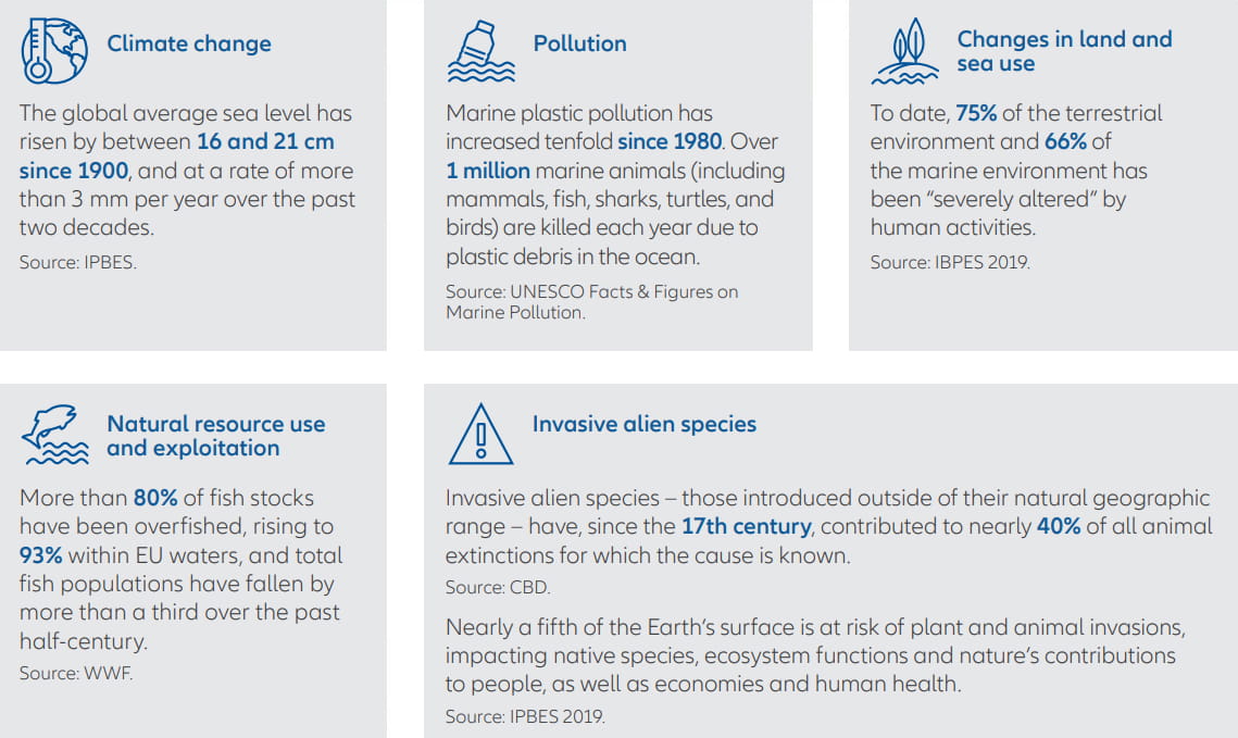 Biodiversity loss in numbers table