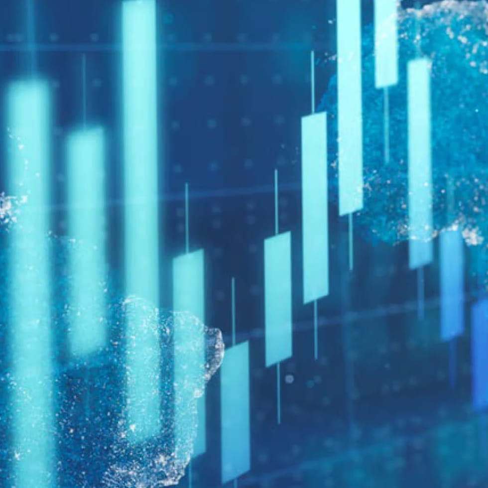 Shareholder returns / dividends