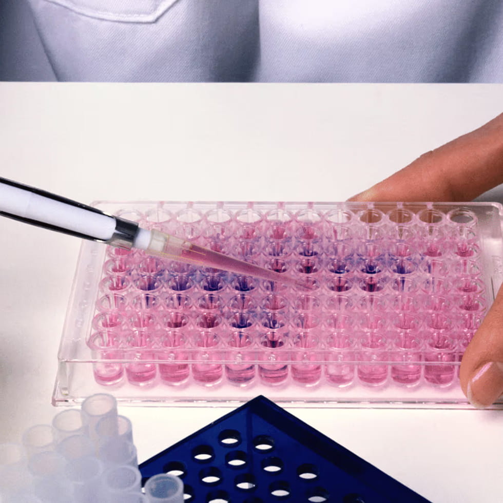 Healthcare / biotech